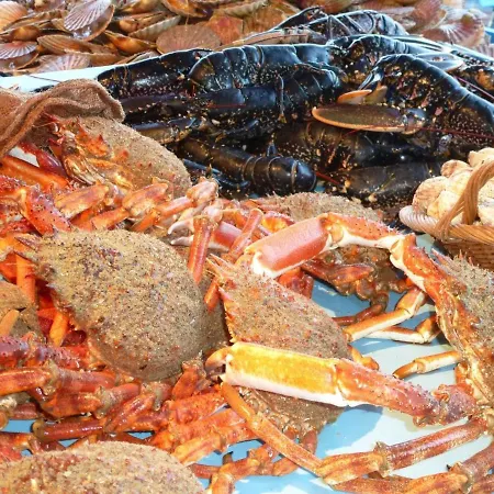 Near Mont St Michel Prázdninový dům *