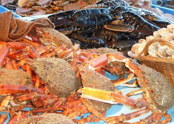 Near Mont St Michel בית נופש *